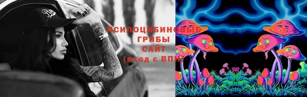 индика Балахна