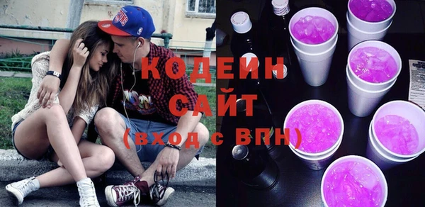 индика Балахна