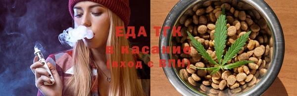индика Балахна