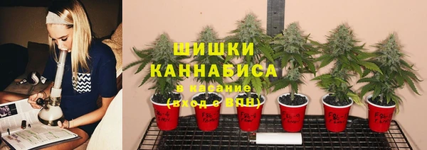 индика Балахна