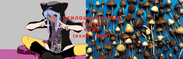 ГАЛЛЮЦИНОГЕННЫЕ ГРИБЫ Баксан