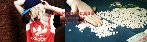 индика Балахна