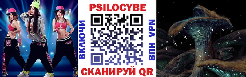 купить наркотик  Бобров  мега как войти  Галлюциногенные грибы Cubensis 